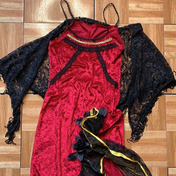 Donated Flamenco Spanish Dancer Costume w/ Shawl - Adult OS LNC - Picture 2 of 15